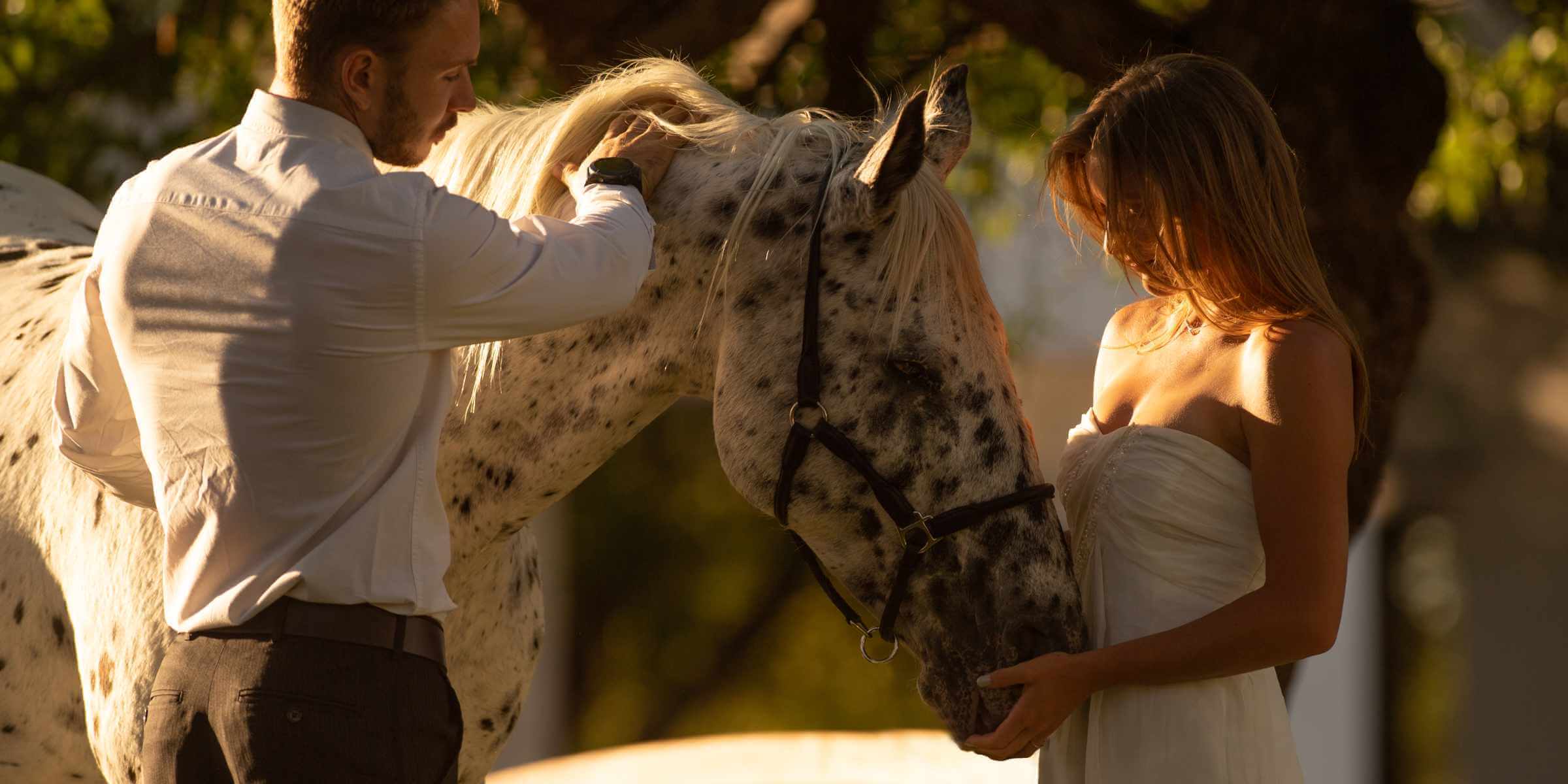 A newlywed couple have their photos taken with Joseph's Dream Stud horses on the Sandwerf property.