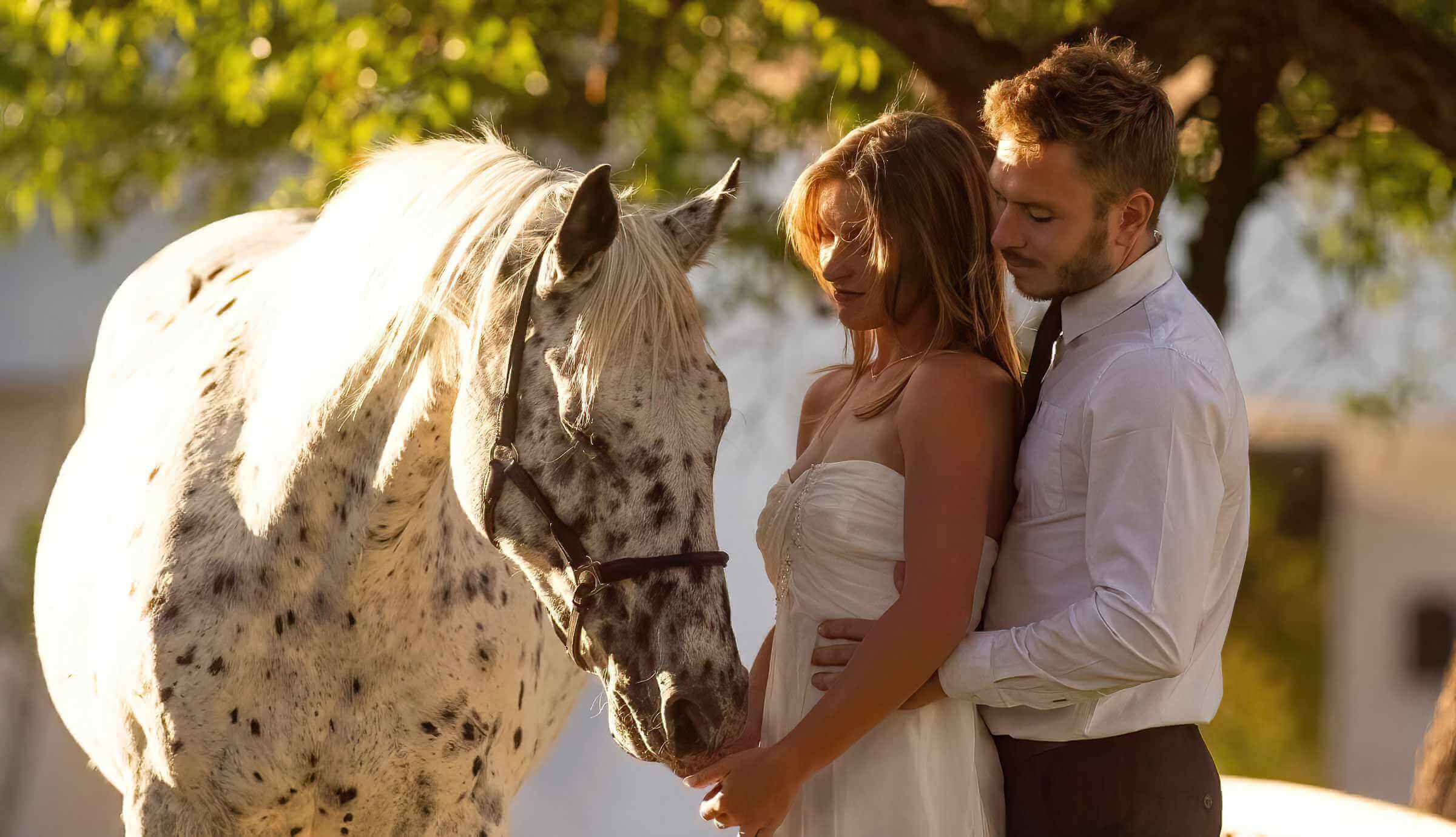 A young newlywed couple in a tender embrace, photographed with the horses of the Joseph's Dream Stud.