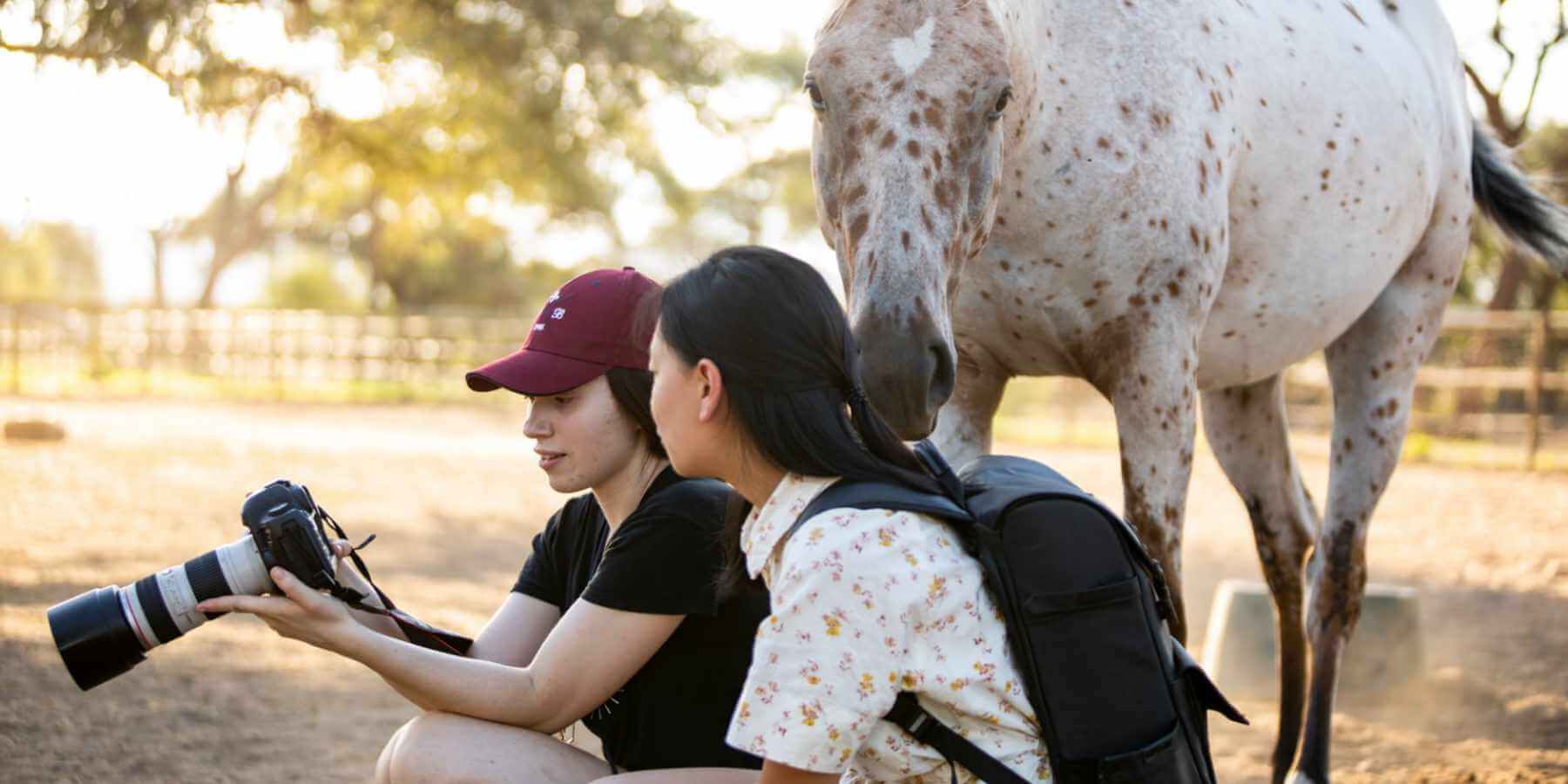 Two young photography enthusiasts review their recent photos within the Joseph's Dream Stud paddocks.