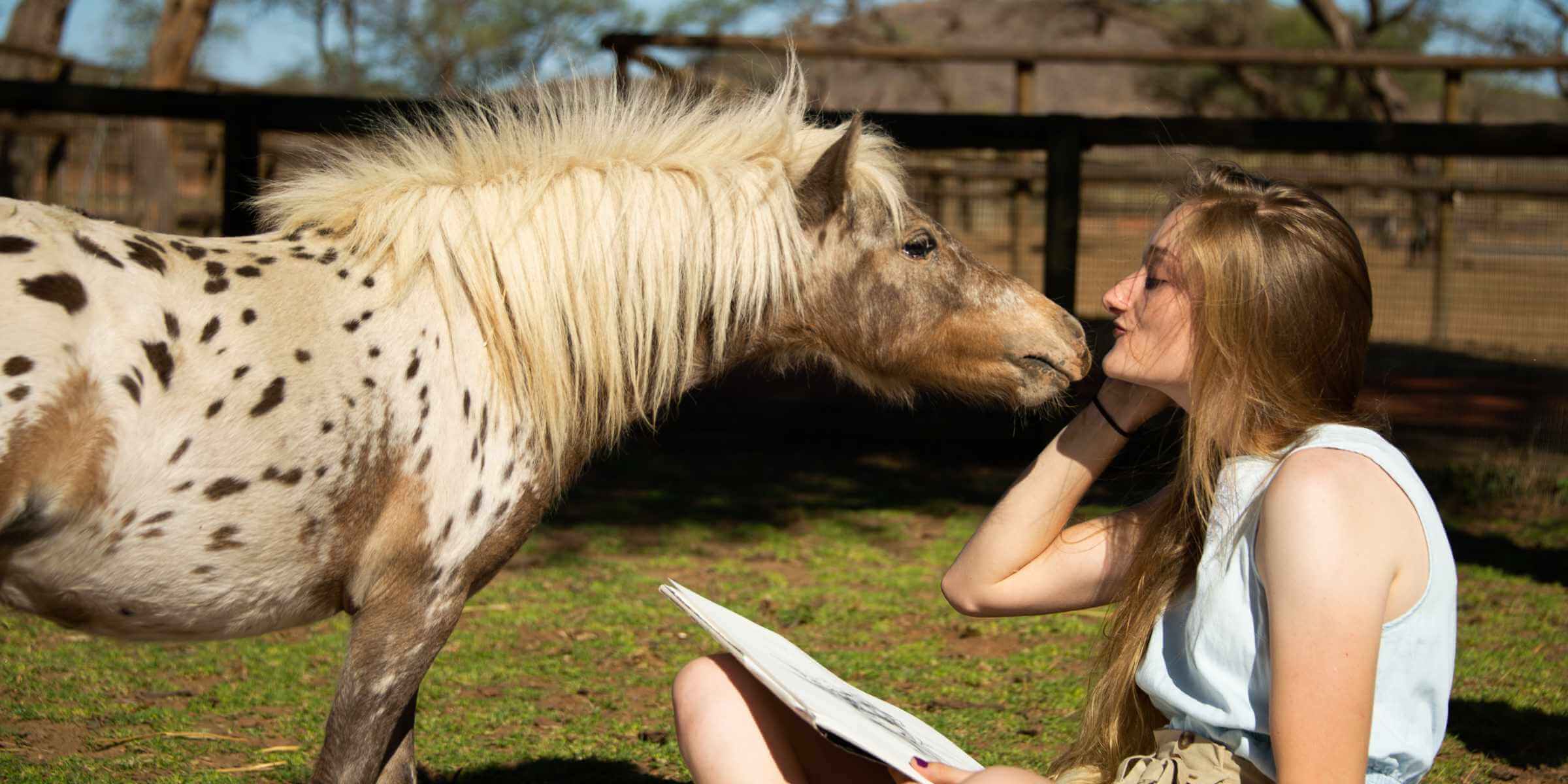 An endearing moment between an artist and one of the miniature horses at Joseph's Dream Stud on Sandwerf.