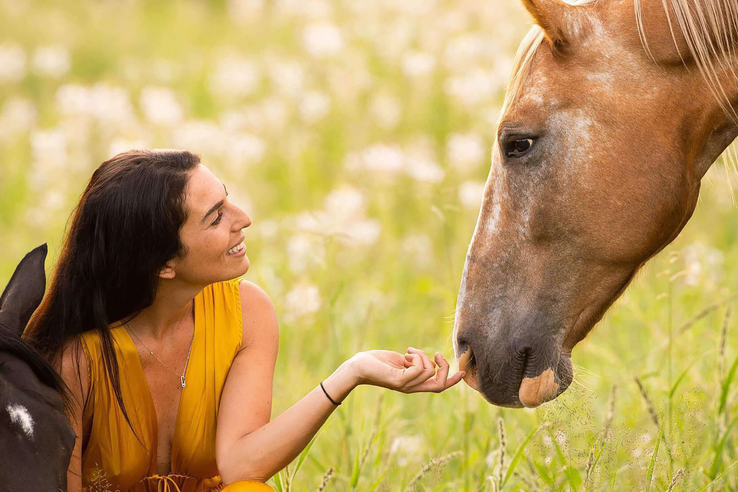 A lady in a deep yellow dress interacting with one of the Joseph's Dream Stud horses at Sandwerf.
