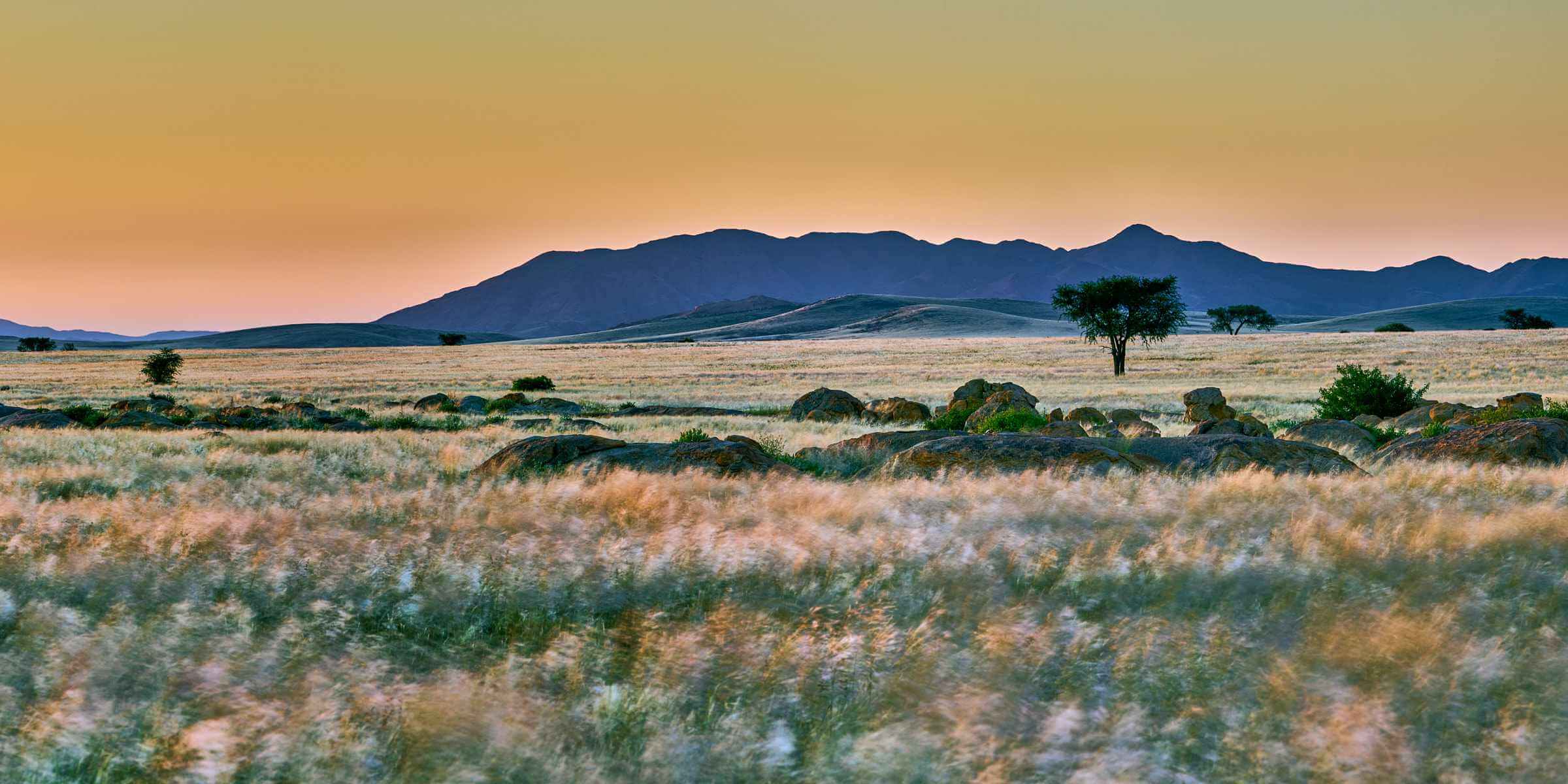 The endless vistas of the Namib Naukluft Park in Namibia.